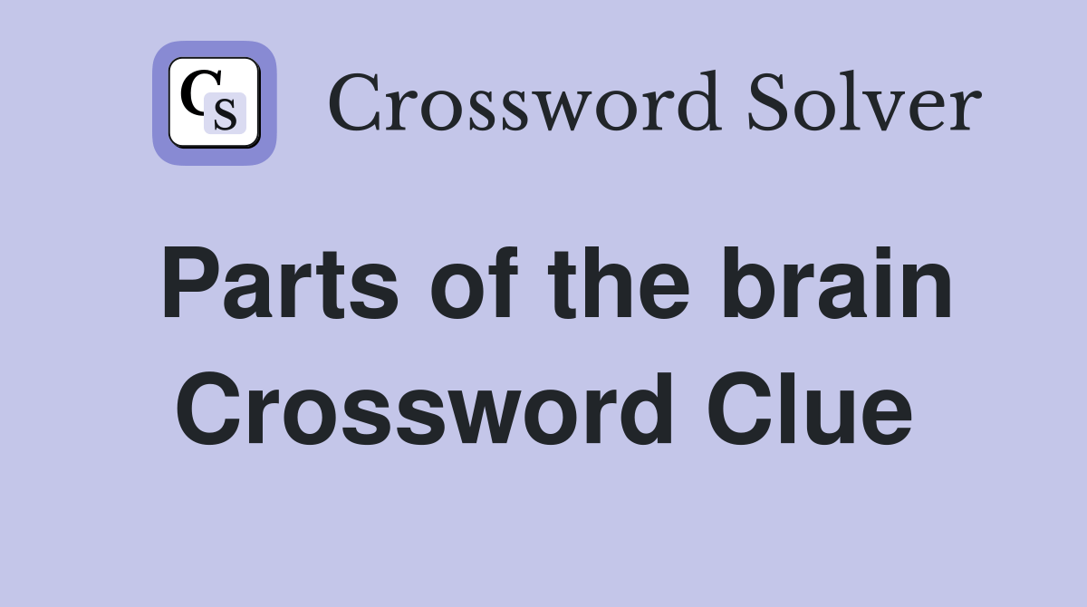 Parts of the brain Crossword Clue Answers Crossword Solver
